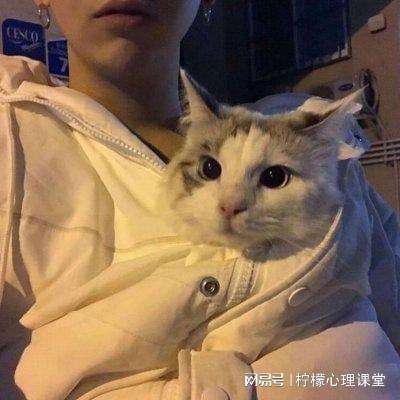星辰国境变态版下载