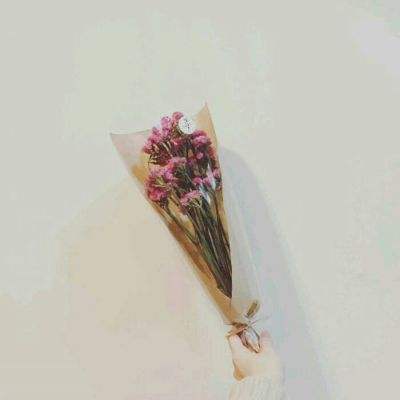 暖暖环游世界腾讯版下载